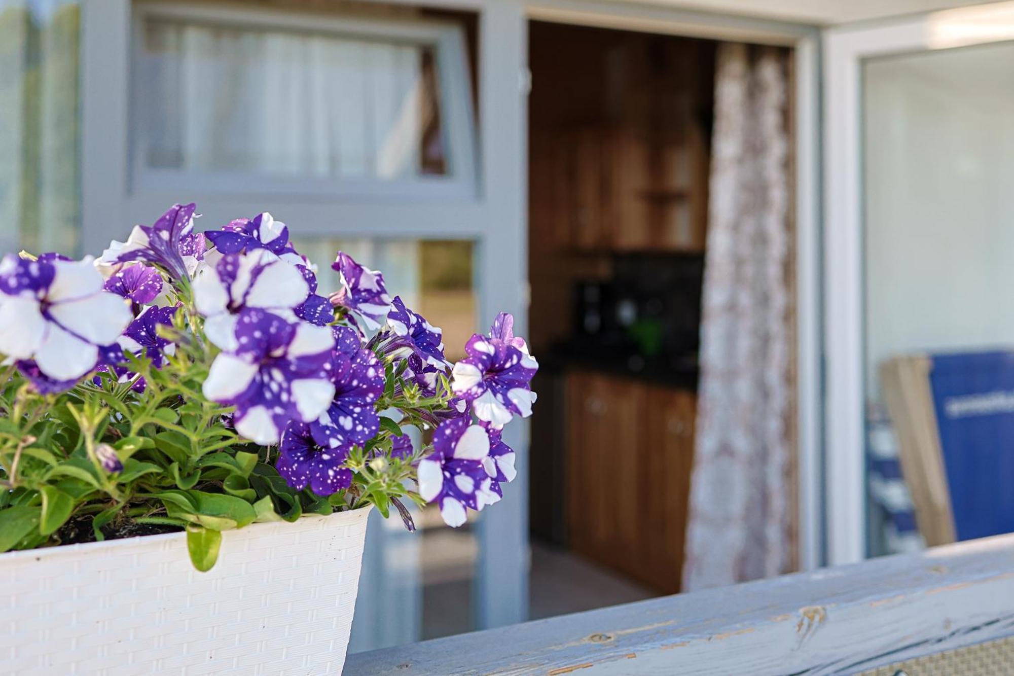 Aurora Ustka-Przewloka Aparthotel ภายนอก รูปภาพ